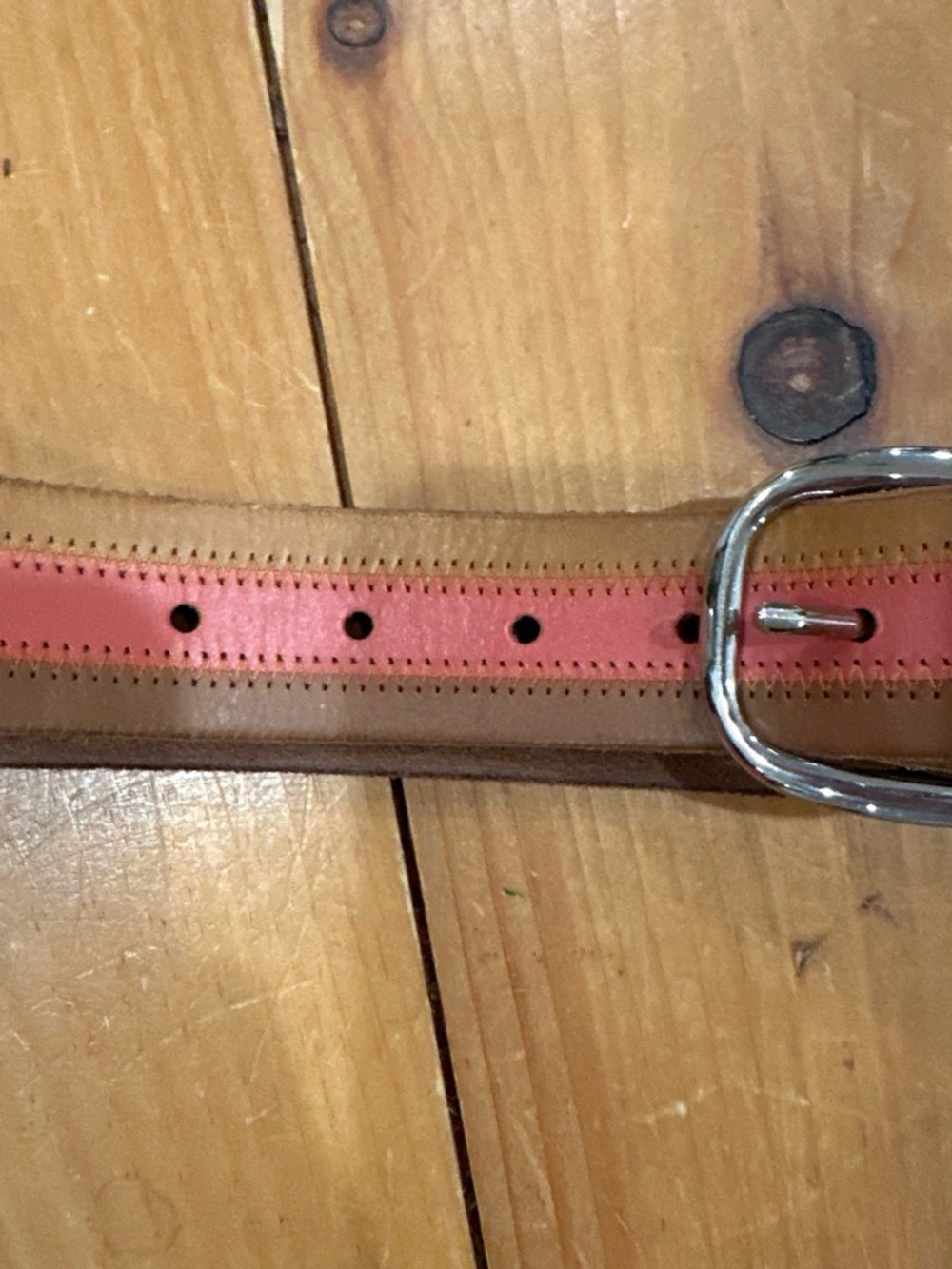 American Eagle Outfitters Brown Belt with Pink Center Stripe